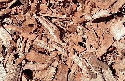 Responsable approvisionnement biomasse un metier a plusieurs dimensions2 - Attribut alt par défaut.
