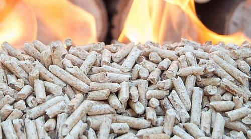 La biomasse une source d energie en plein essor - Attribut alt par défaut.