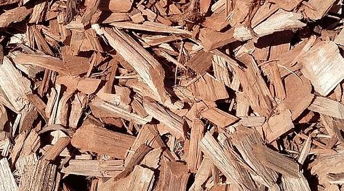 Responsable approvisionnement biomasse un metier a plusieurs dimensions - Attribut alt par défaut.